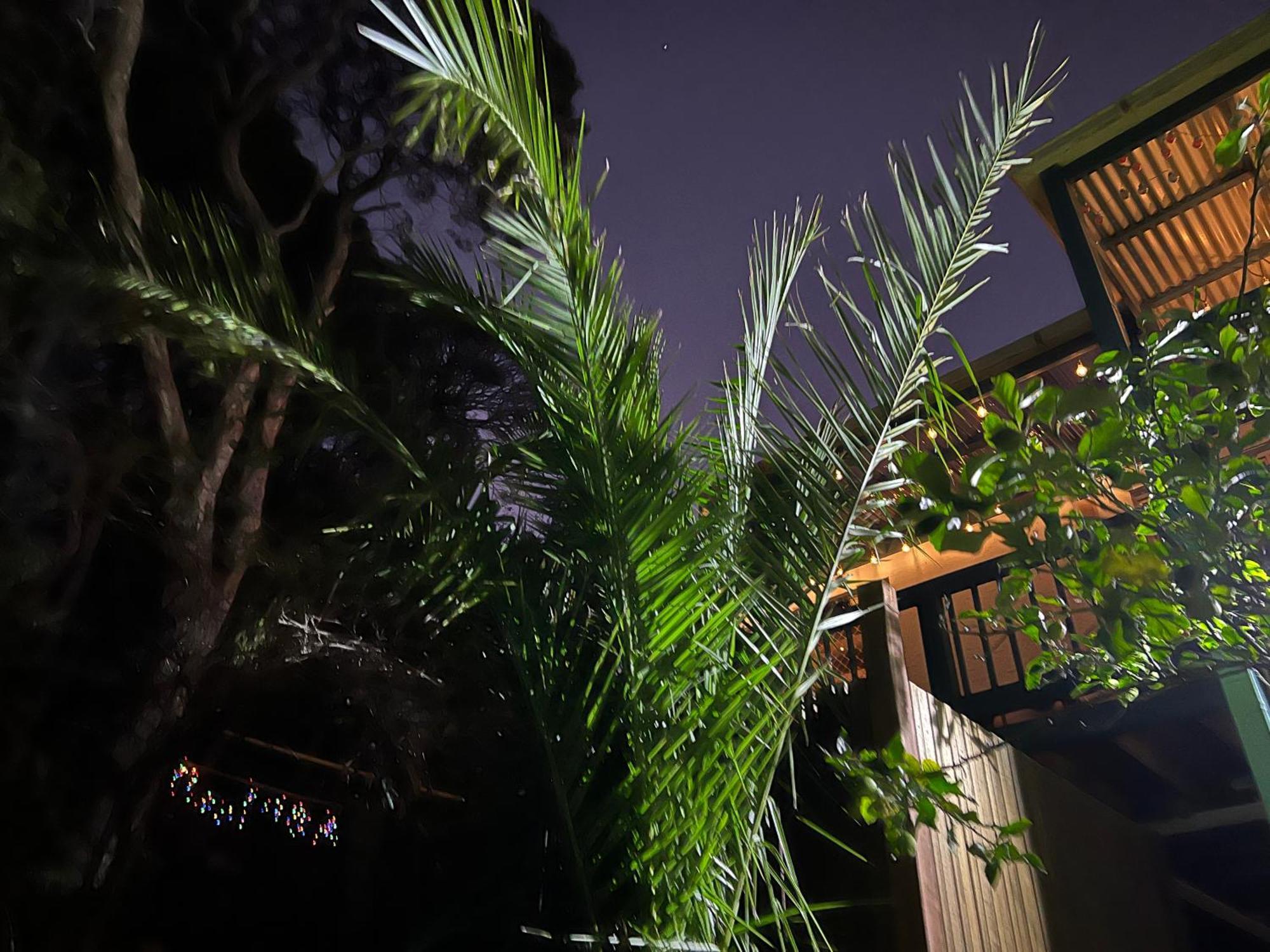 Nest On A Crest Villa Rye Luaran gambar