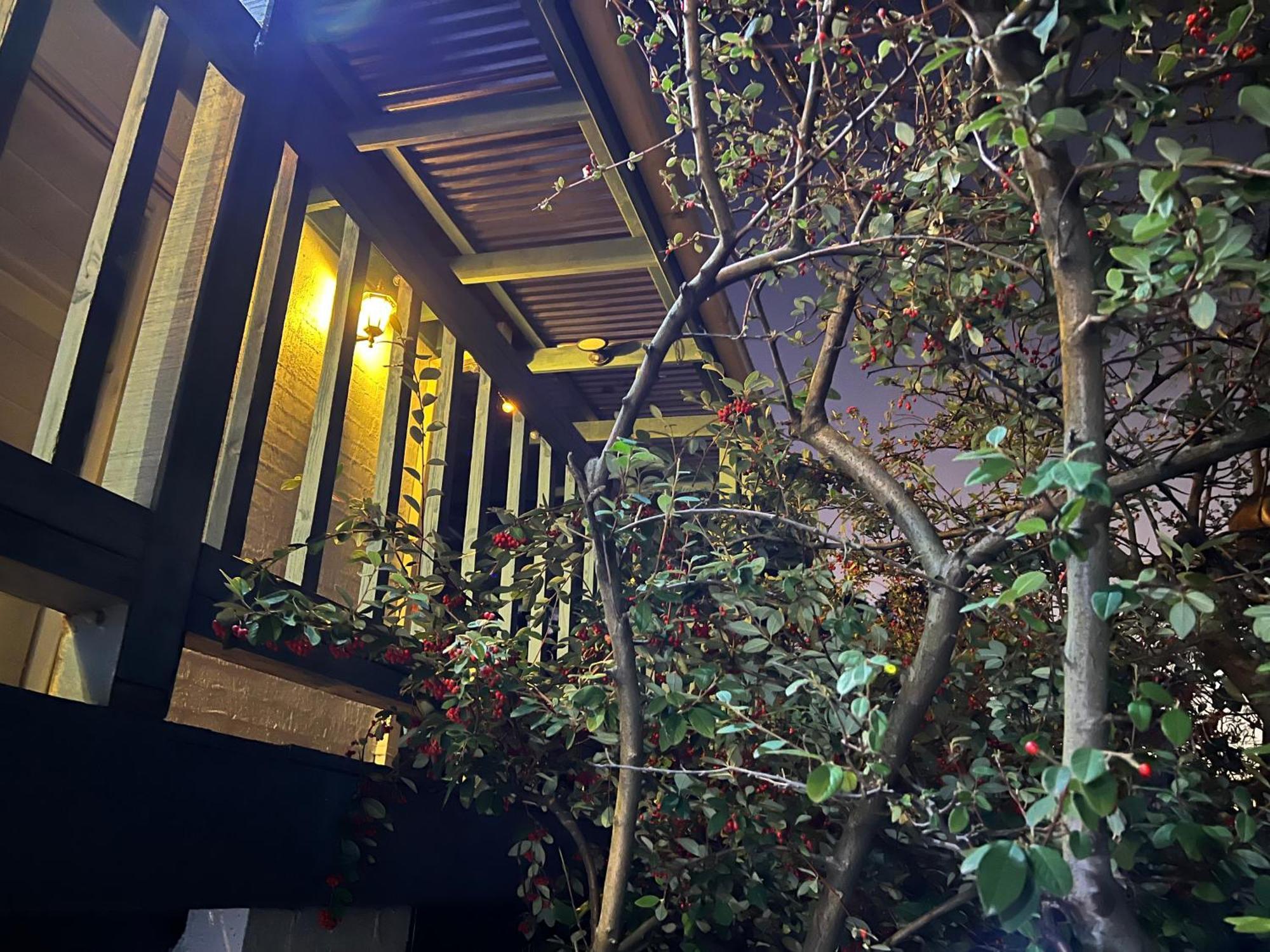 Nest On A Crest Villa Rye Luaran gambar