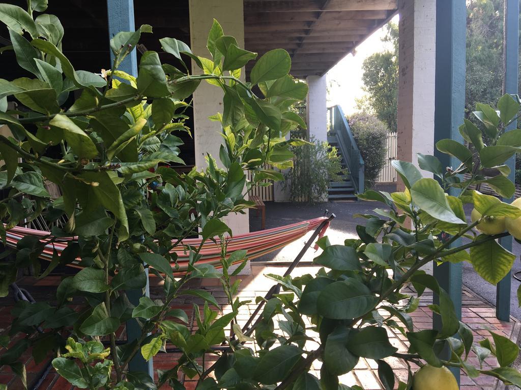Nest On A Crest Villa Rye Luaran gambar